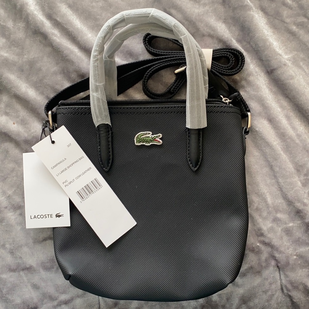 Lacoste Campanula